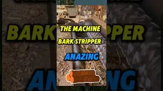 Americans must watch, amazing bark peeling machine #shorts #wood #machine