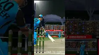 Big Bash Cricket game