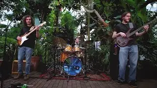 Earthmother - Me and Julio Down by the Schoolyard (Live) - Canopy Sessions