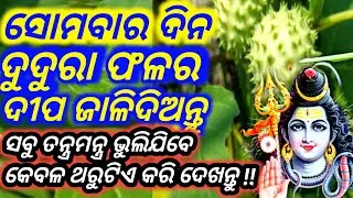 GuniGaredi /Shatru /Arthika Samasya Sabu Dura Heba. Odia Mantra. Vashikaran. @TECBIGYAN