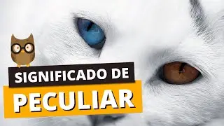 SIGNIFICADO DE PECULIAR: O que &eacute; uma coisa peculiar?