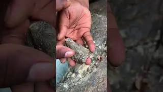 Is It Granite? Cracking Open This Speckled Stone!