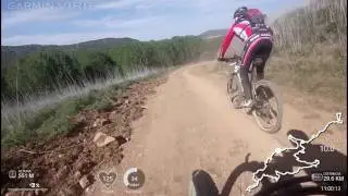 101 PEREGRINOS 2017