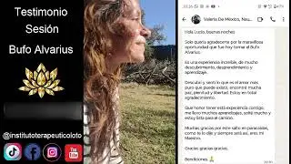 Bufo Alvarius sesi&oacute;n con Valeria en M&eacute;xico / testimonio.
