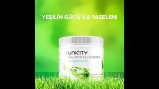 Chlorophyll Powder