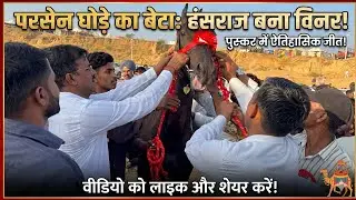 हंसराज परसेन्न का बेटा बना पुष्कर का चैंपियन Milk teeth colt