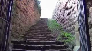 Burg Drachenfels - Im Herzen des Wasgau im Pfälzer Wald - Bekannt aus der Nibelungensage