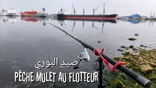 صيد سمك البوري بالطفافة في قناة تونس حلق الوادي - pêche mulet au Flotteur preplombé a canal TGM