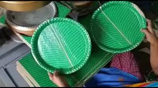 Paper Plate | Areca  Plate | Eco-friendly | Biodegradable | Plastic Plate | Making Machines,