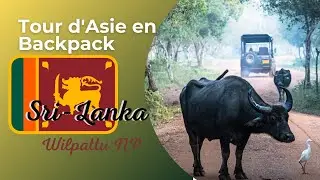 Backpack Asie ep 31: Sri-Lanka, wilpattu NP