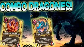 Dragones Es Meta!