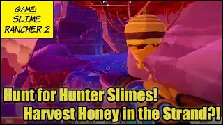 Slime Rancher 2 EP17 -- Hunt for Hunter Slimes! Harvest Honey in the Strand?!