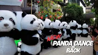 【4K THAILAND】Dancing Pandas Return! 🐼 | The Cutest Show in Bangkok | Bangkok
