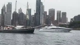 Stunning Harbour View from Milsons Point | Sydney Australia 🇦🇺 