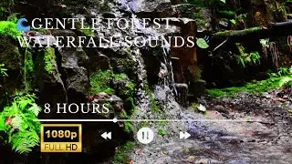 8 Hours of Gentle Forest Waterfall Sounds &ndash; Relax, Sleep & Meditation