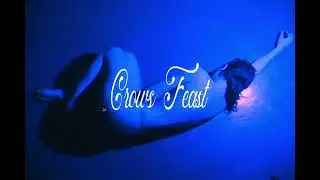 Pixel Grip - Crow's Feast (Official Lyric Video)