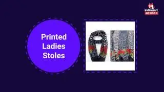 Ladies Stoles and Scarves By Daksh Fashion, Delhi
