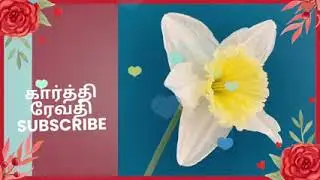பித்தலாட்ட காரர்களின் மூக்கை உடைத்து நகையை மீட்ட கார்த்தி/கார்த்திகை தீபம் 30 ஜனவரி 2026
