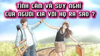 TÌNH CẢM VÀ SUY NGHĨ CỦA NGƯỜI KIA VỚI HỌ RA SAO ? Timeless