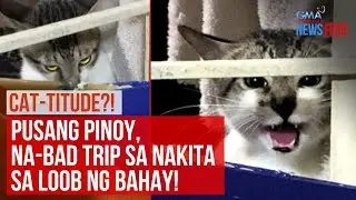 CAT-TITUDE?! Pusang Pinoy, na-bad trip sa nakita sa loob ng bahay! | GMA Integrated Newsfeed