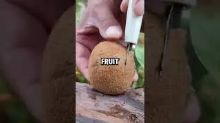 🍇 The Healthiest Fruits You Need to Know! 🍌🥝