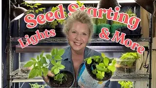 My Seed Room Gets an Update & Rooting Fig and Elderberry Cuttings