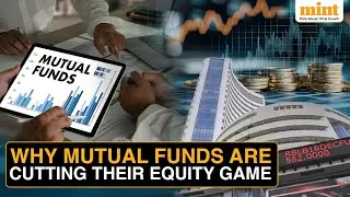 Why Mutual Fund Inflows In Indian Equities Dropped By 22% In Just One Year | All You Need To Know