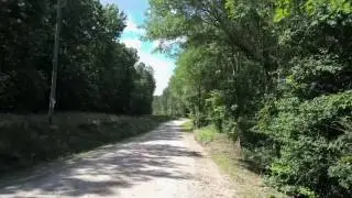 Gregg Shoals Road ~ Lakefront Land | Elbert Co., GA