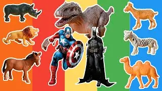 WOW WE CAN BRING BACK ANIMAL & TOYS | CAPTAIN AMERICA, BATMAN, DINOSAURUS, LION SHEEP HORSE LIONESS