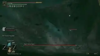 Regal Ancestor Spirit Glitch (Falls off Map)