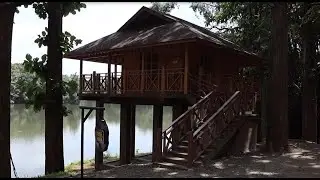 Parambikulam Timber Nook