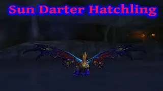 Sun Darter Hatchling ~ Cave of Consumption ~ Secret WoW Pet