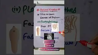 Animal Kingdom Trick | Learn Examples of Phylum Platyhelminthes 🔥💯 #shorts #viral #neet #biology
