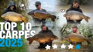 Les 10 plus belles captures de carpes de 2025 🎣