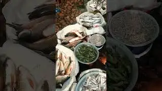 Small and mini fish market of south Asia #shorts #reels