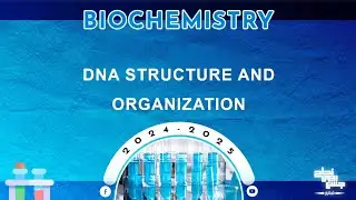 Revision of L10: DNA structure and organization; Molecular biology 1