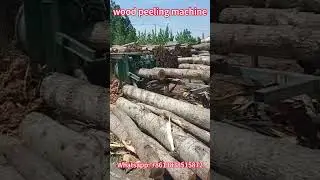 Wood Debarking Machine | Wood Peeling Machine for Log Processing | Stable and Continuous Operation