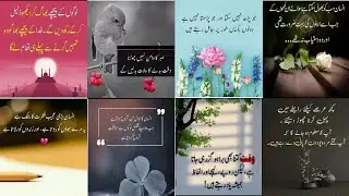most popular Urdu quotes | urdu poetry | islamic poetry | Urdu quotes about Life