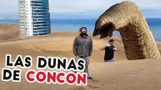 Dunas de Conc&oacute;n, playas de Maitencillo & Zapallar: aventura costera express