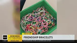 Upper St. Clair students take on unique charity project
