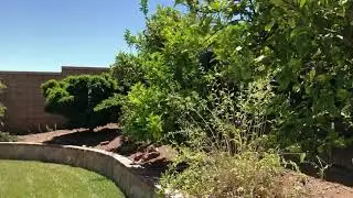 2817 Morning Star Drive Corona CA | Move-In Ready Home with Mountain Views for Sale