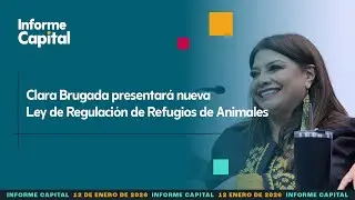 Clara Brugada anuncia nueva Ley de Regulación de Refugios de Animales | Informe Capital | 12 enero