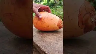 Amazing Refreshing Healthy Drink | King Coconut😋🤩 Cook with vira #shorts