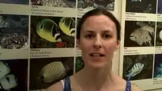 After Thoughts - Science and the Open Ocean - Outreach Talk#4