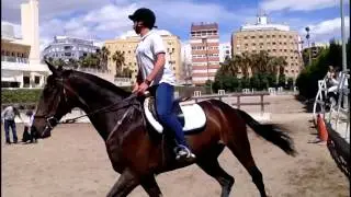 Carlos con Equart lección de José Manuel Sales (El Cura) 17 de abril de 2016