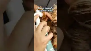 paw cleansing foam for you furbaby #shihtzu #dog #doglovers #furbaby