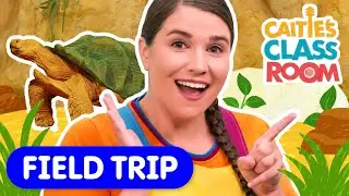 Let&rsquo;s Learn About Reptiles 🐍 | Meet a Tortoise! | Learn Adjectives! | Super Simple Play