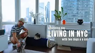 A fulfilling day living simply in NYC