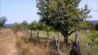 Tišina