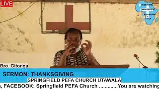 Springfield PEFA Church #Thanksgiving